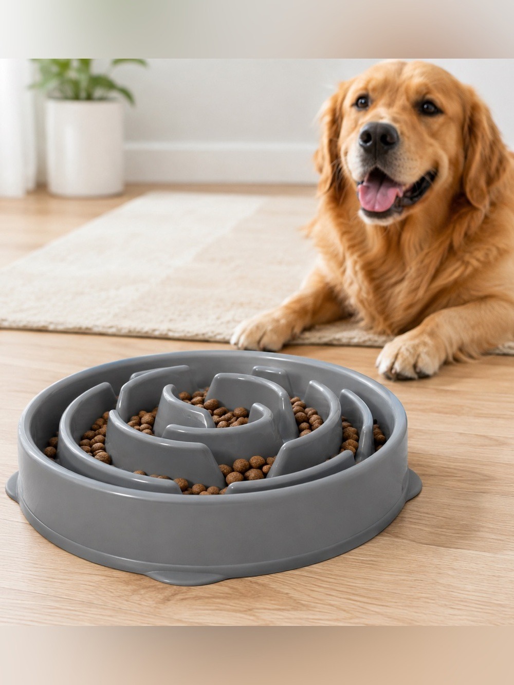 Outward Hound Fun Feeder Slow Feeder Dog Bowl Gray Large 11.75” Non-Slip